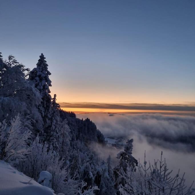 Le Montagnard Appartement Mijoux Buitenkant foto